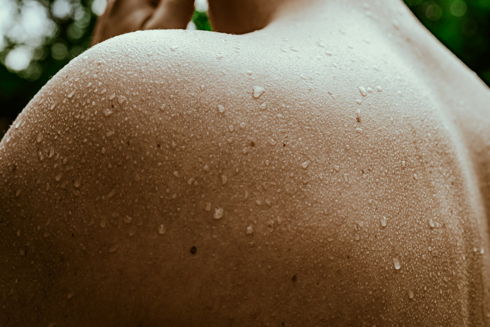 Best Infrared Saunas for Home